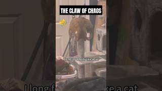 If You Don’t Laugh, You’re a Robot! 😹🐶 Pets Being ABSOLUTELY SAVAGE!