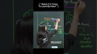 " Interphase is A Resting Phase " With QuickShot Biology | #poonam Ma'am | #shorts #neet #biology