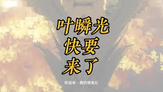 日版絕區零彩蛋！#葉瞬光 是雲巋山小師妹？【絕區零】