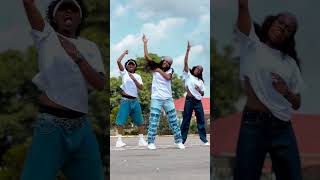 Dancehall Queen Shenseea hit And Run Dance Video @mr.tr09