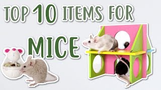 TOP 10 ITEMS FOR MICE!