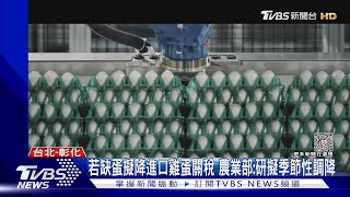 若缺蛋擬降進口雞蛋關稅 農業部:研擬季節性調降｜TVBS新聞 @TVBSNEWS02