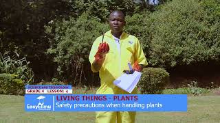 Safety precautions when handling plants | Grade 4 Science and Technology | EasyElimu