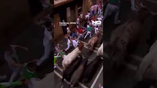 Four injured in final bull run of San Fermín Festival in Pamplona #shorts #nocomment #sanfermin