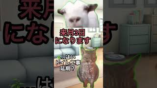 自宅リフォーム日記: 新生活への第一歩 😄【猫ミーム】版ミニ