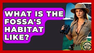 What Is The Fossa's Habitat Like? - The Wild Life Explorer
