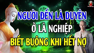 Phật Dạy: Người Đến Là Duyên, Ở Là Nghiệp – Hết Nợ Hãy Buông, Ấy Là Trí Tuệ Của Người Tu Hành