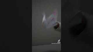 コラボ感謝(ㅅ´ ˘ `)
