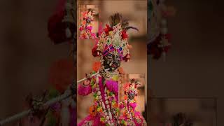 🙇JAY SHREE KRISHNA 🙏 #status #shorts #krishna #shreekrishna #kanha #new_status