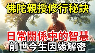 🌿佛陀親授！如何在日常關係中修行？揭秘跨越前世今生的驚人因緣✨