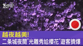 越夜越美! 二条城夜間「光雕秀尬櫻花」遊客擠爆｜TVBS新聞@tvbsnews24live