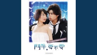 鬥牛要不要