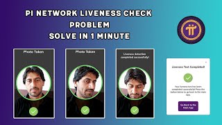 pi network liveness check