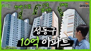성동구 10억 아파트 둘러보며 임장 | n억집