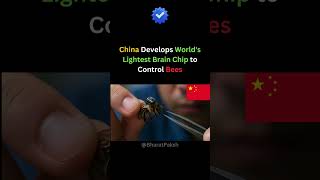 Chinese scientists have developed the world’s lightest brain chip #china #bees #brainchip