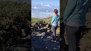 夏威夷云海 寂静的天空 #hawaii #haya #寂静的天空 #夏威夷