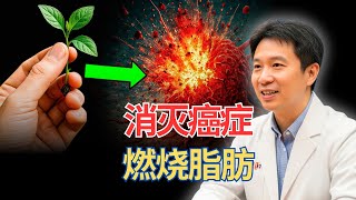 吃它，消灭癌症，燃烧脂肪——简单、便宜、效果已证实！