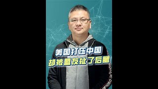 中国的“风险”不好去，中欧贸易不降反增？中国在欧盟有“内应”