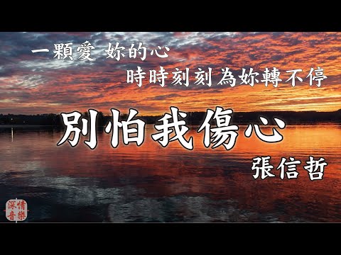 🔄深情精選情歌🔄 別怕我傷心 - 張信哲 『一顆愛 妳的心 時時刻刻為妳轉不停』【動態歌詞Lyrics】
