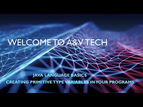 Creating Primitive Type Variables in Your Programs  A Beginner's Guide