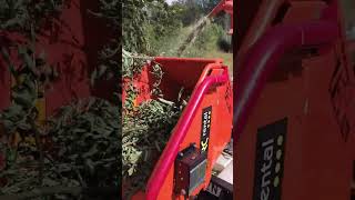 chipping wood 🪵🪓 #forestry #chipper #arborist #treearborist #treecare #stihl #arboristing #tree