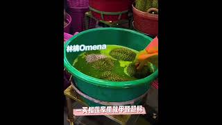 一买榴莲家里就甲醛超标 #榴莲 #食品安全 #中国 #china #food #durian