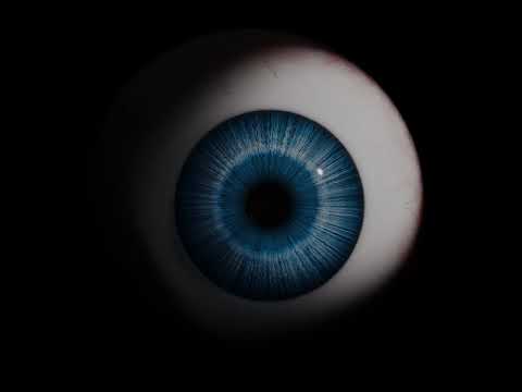 EYE 3D MODEL ANIMATION