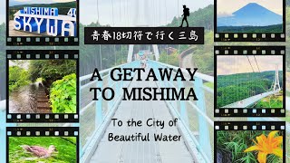 Nature Escape in Mishima: Riverside stroll and Skywalk adventure.🗻【JAPAN TRAVEL VLOG】
