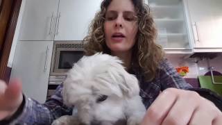 Chloe y su erupto