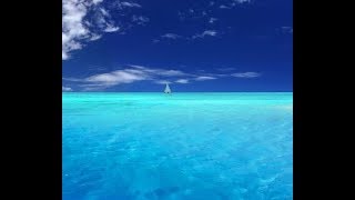 【The ocean is flat】Dr. Keryea Soong│科學史沙龍