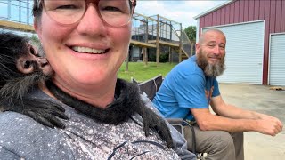Monkey house & tree time fun. Kevin got wound up🤣