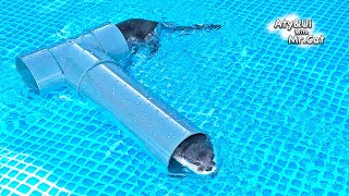 Otter Goes Crazy With Super-Sized Pool [Otter Life Day 892]