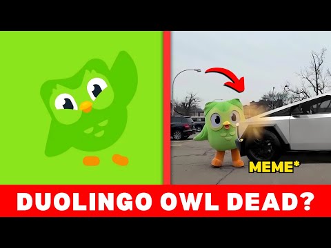 Duolingo Owl Died ? | What Happened to the Duolingo Owl