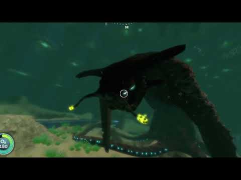 I cured the Kharaa.