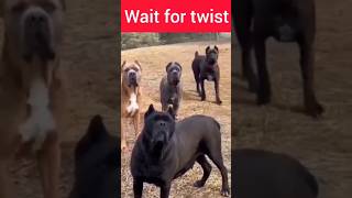 wait for end ! moye moye ! wait for twist ! #funny #comedy ! #fs4 @FUNSHU4  @everyone