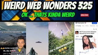 weird web wonders 325