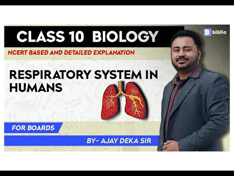 Respiratory System in Humans | Explanation | Biology