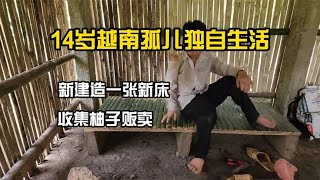 14岁越南孤儿独自生活，建造了一张新床，丛林中收集柚子摆摊售卖