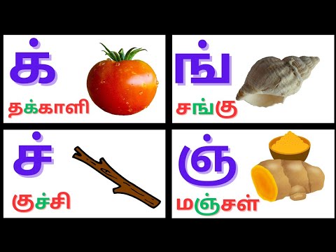 மெய் எழுத்துக்கள்/க்ங்ச்ஞ்/mei ezhuthukal for kids /தமிழ் எழுத்துக்கள்