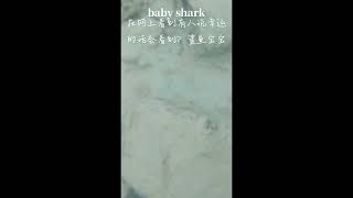 #baby shark 网上说幸运的话在热浪岛会看到鲨鱼宝宝…我也太幸运了吧✌️