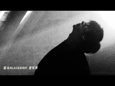 唐漢霄 SeanTang—《黑鸟（BLACK BIRD）》MV