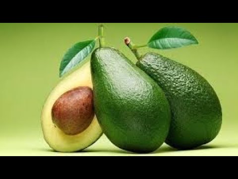 HEALTH BENEFITS OF AVOCADO PEAR