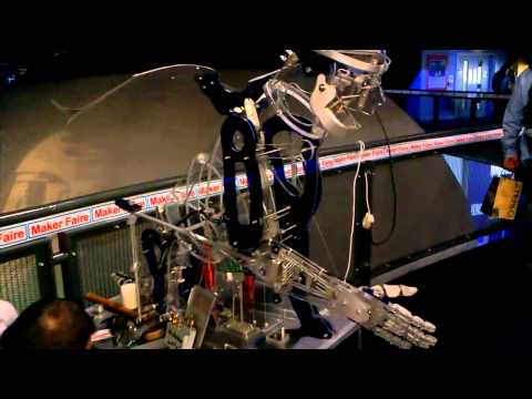 Chicken versus man robot @ Maker Faire 2013, Newcastle, UK