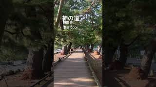 神の道　神はいるのか？静岡県三保松原　#散歩 #散歩でgo #virtualwalk #walking #japanstreetview #ぶらり途中下車の旅 #walkaround #japan #
