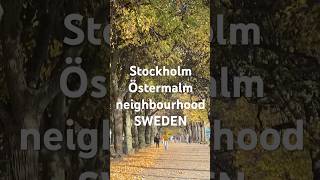 #Stockholm on a colourful day in the #östermalm neighbourhood, by the #balticsea  Oct 19/24 #trees