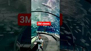 🥺😲 👉असंभव 👈 😱😳#chaina #america #india #adventure  #waterfall #mountains #shorts #viral #vlog #reels