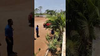 Found Snake in Office     #minivlog #techvlogs  #snake