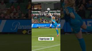 Fingertip save 🧤