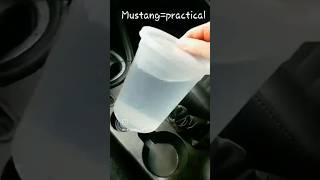 Mustangs have the largest cupholder