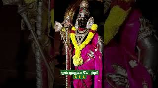 ஓம் முருகா போற்றி 🙏🙏🙏#ommuruganthunai #முருகாசரணம் #முருகன்துணை #motivational #முருகா